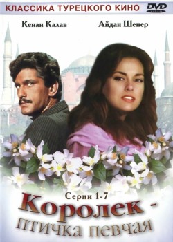 Королёк – птичка певчая на русском языке