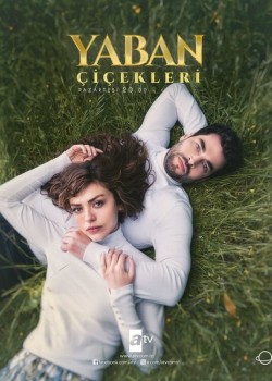 Дикие цветы турецкий сериал